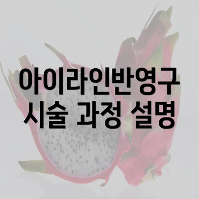 아이라인반영구 시술 과정 설명