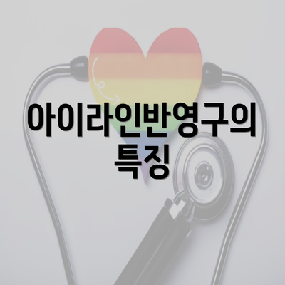 아이라인반영구의 특징