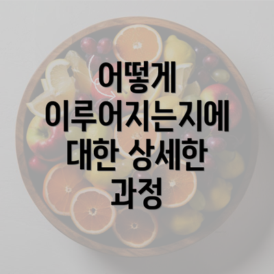 어떻게 이루어지는지에 대한 상세한 과정