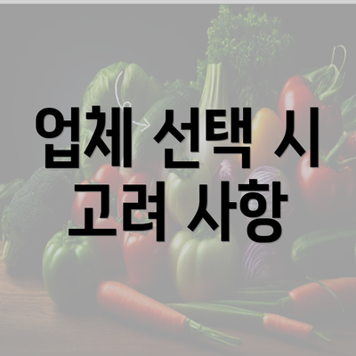 업체 선택 시 고려 사항