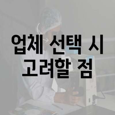 업체 선택 시 고려할 점