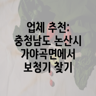 업체 추천: 충청남도 논산시 가야곡면에서 보청기 찾기