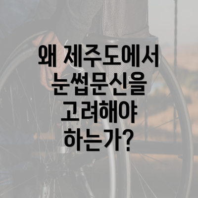 왜 제주도에서 눈썹문신을 고려해야 하는가?