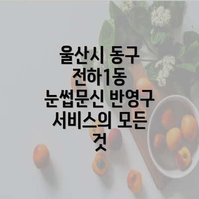 울산시 동구 전하1동 눈썹문신 반영구 서비스의 모든 것