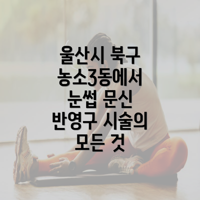 울산시 북구 농소3동에서 눈썹 문신 반영구 시술의 모든 것