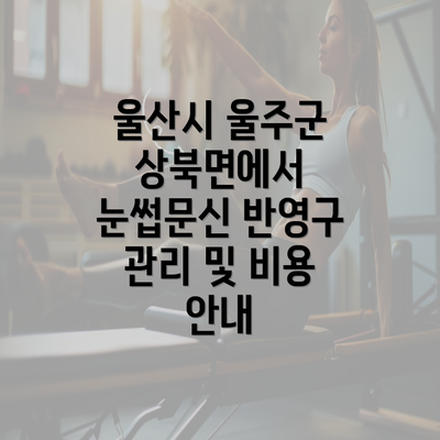 울산시 울주군 상북면에서 눈썹문신 반영구 관리 및 비용 안내