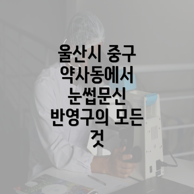 울산시 중구 약사동에서 눈썹문신 반영구의 모든 것