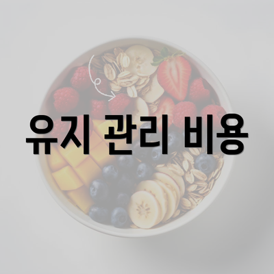 유지 관리 비용