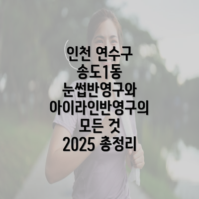 인천 연수구 송도1동 눈썹반영구와 아이라인반영구의 모든 것 2025 총정리