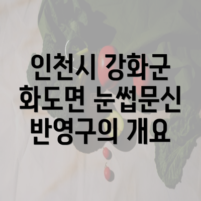 인천시 강화군 화도면 눈썹문신 반영구의 개요