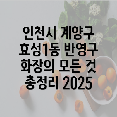 인천시 계양구 효성1동 반영구 화장의 모든 것 총정리 2025