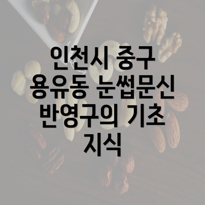 인천시 중구 용유동 눈썹문신 반영구의 기초 지식