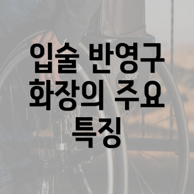 입술 반영구 화장의 주요 특징