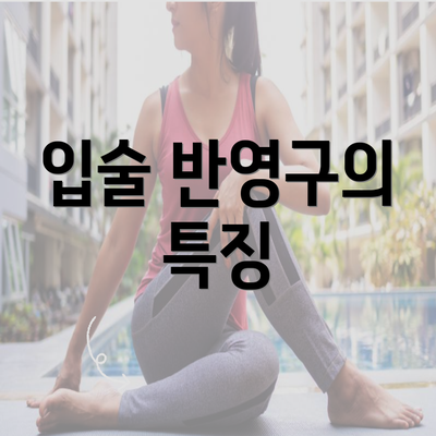 입술 반영구의 특징