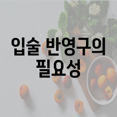 입술 반영구의 필요성