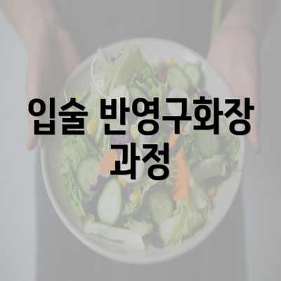 입술 반영구화장 과정