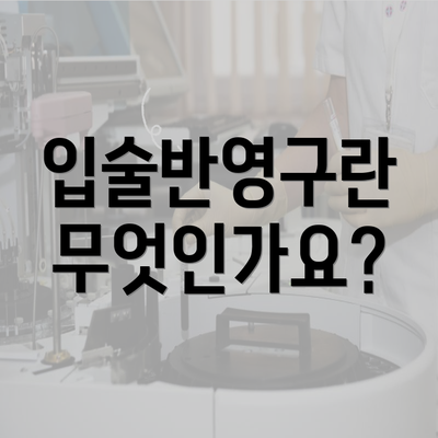 입술반영구란 무엇인가요?