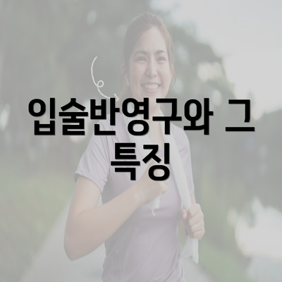 입술반영구와 그 특징