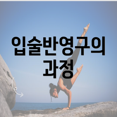 입술반영구의 과정