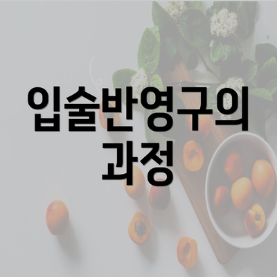 입술반영구의 과정