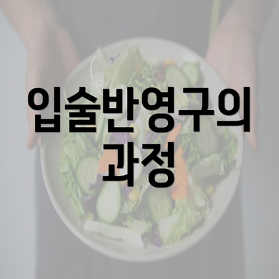 입술반영구의 과정