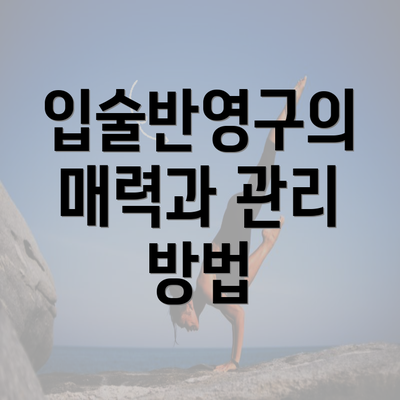 입술반영구의 매력과 관리 방법