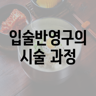 입술반영구의 시술 과정