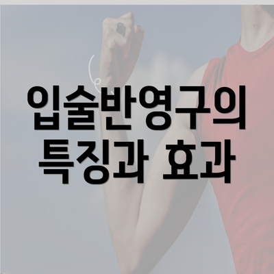 입술반영구의 특징과 효과