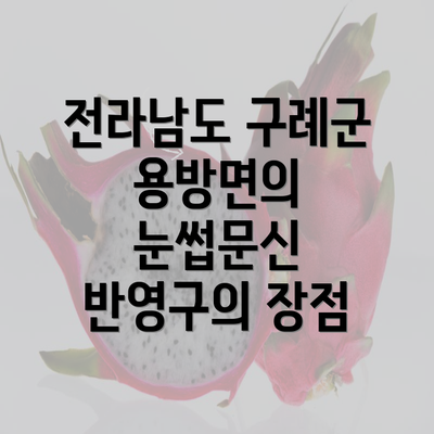 전라남도 구례군 용방면의 눈썹문신 반영구의 장점