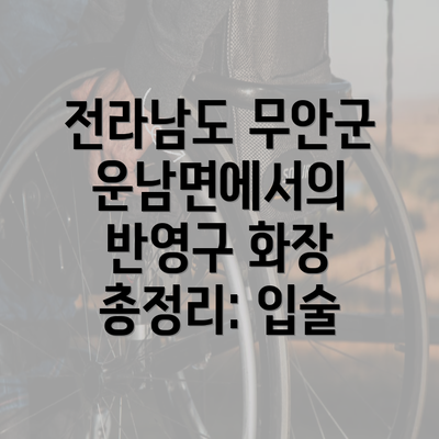 전라남도 무안군 운남면에서의 반영구 화장 총정리: 입술