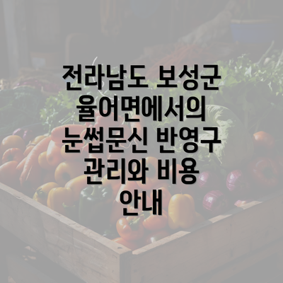 전라남도 보성군 율어면에서의 눈썹문신 반영구 관리와 비용 안내