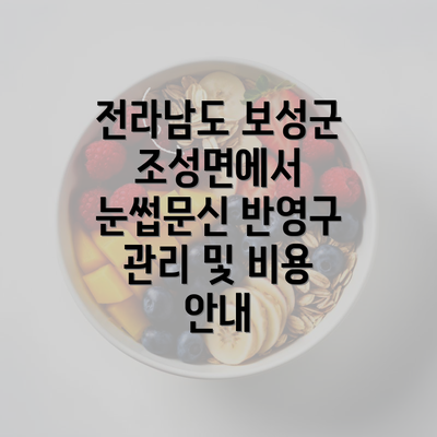 전라남도 보성군 조성면에서 눈썹문신 반영구 관리 및 비용 안내