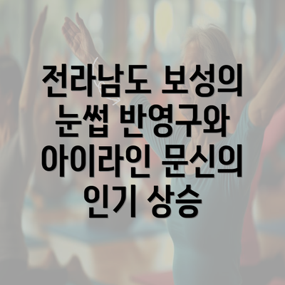 전라남도 보성의 눈썹 반영구와 아이라인 문신의 인기 상승