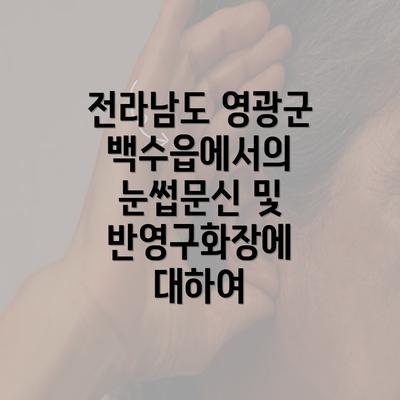 전라남도 영광군 백수읍에서의 눈썹문신 및 반영구화장에 대하여