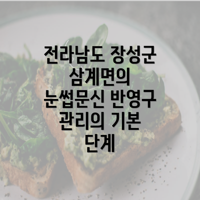 전라남도 장성군 삼계면의 눈썹문신 반영구 관리의 기본 단계