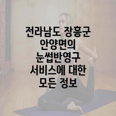 전라남도 장흥군 안양면의 눈썹반영구 서비스에 대한 모든 정보