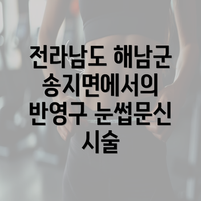 전라남도 해남군 송지면에서의 반영구 눈썹문신: 모든 것을 알려드립니다!