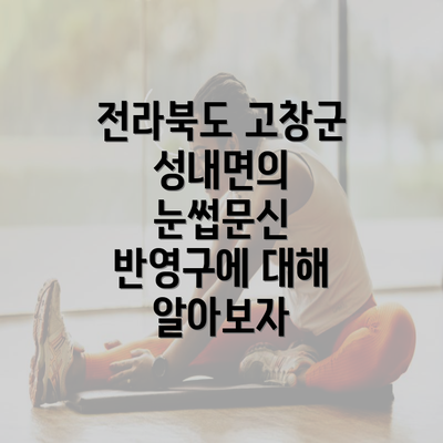 전라북도 고창군 성내면의 눈썹문신 반영구에 대해 알아보자