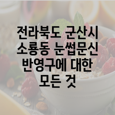 전라북도 군산시 소룡동 눈썹문신 반영구에 대한 모든 것