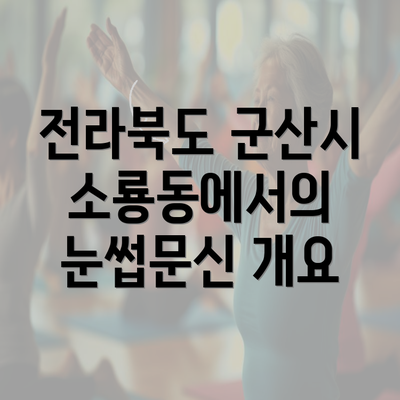 전라북도 군산시 소룡동에서의 눈썹문신 개요