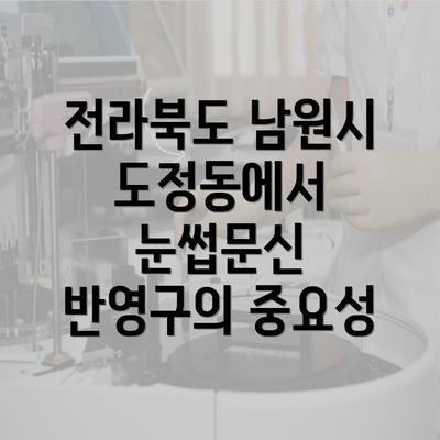 전라북도 남원시 도정동에서 눈썹문신 반영구의 중요성