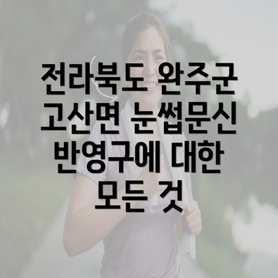 전라북도 완주군 고산면 눈썹문신 반영구에 대한 모든 것