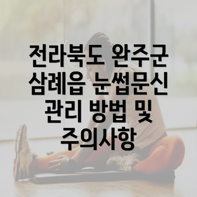 전라북도 완주군 삼례읍 눈썹문신 관리 방법 및 주의사항