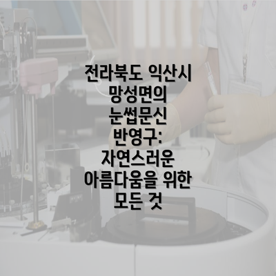 전라북도 익산시 망성면의 눈썹문신 반영구: 자연스러운 아름다움을 위한 모든 것