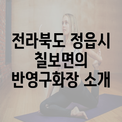 전라북도 정읍시 칠보면의 반영구화장 소개