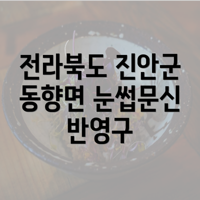 전라북도 진안군 동향면 눈썹문신의 특징과 장점