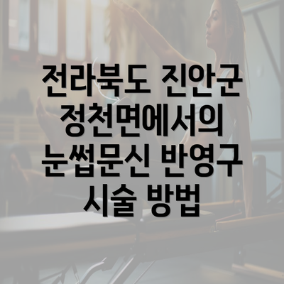 전라북도 진안군 정천면에서의 눈썹문신 반영구 시술 방법