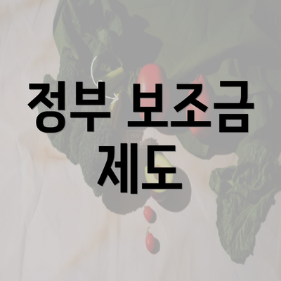 정부 보조금 제도