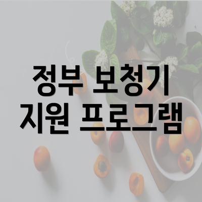 정부 보청기 지원 프로그램