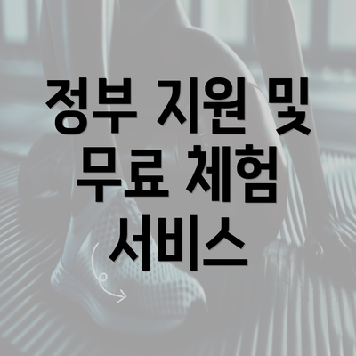 정부 지원 및 무료 체험 서비스